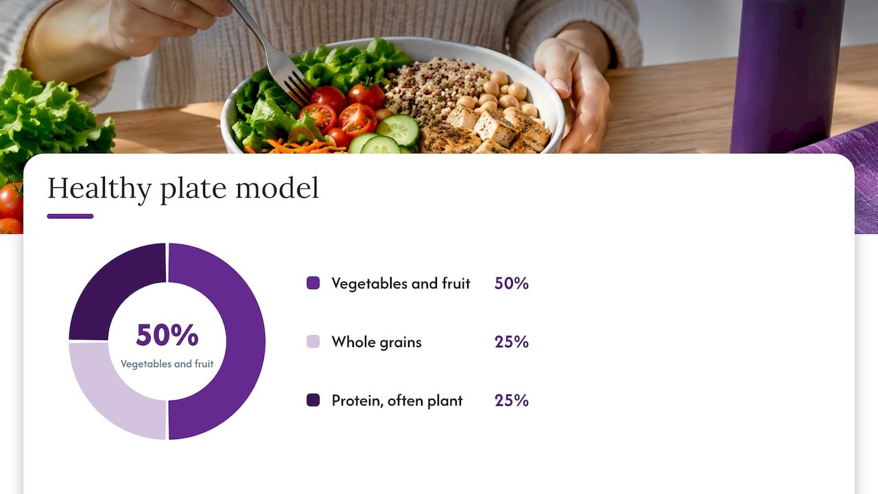 Plate model with vegetable grain and protein portions
